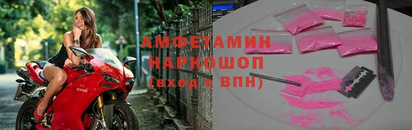 шишки Белокуриха