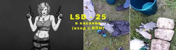 шишки Белокуриха