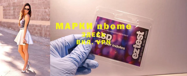 шишки Белокуриха