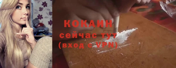 шишки Белокуриха