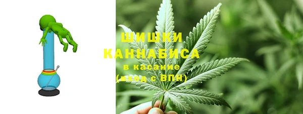 шишки Белокуриха