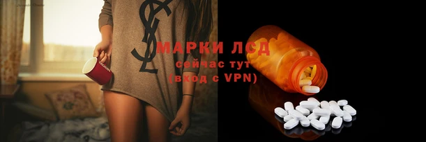 шишки Белокуриха