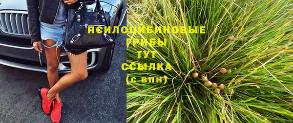молекула духа Беломорск