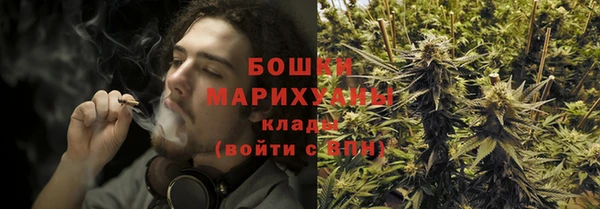 шишки Белокуриха