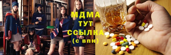 шишки Белокуриха
