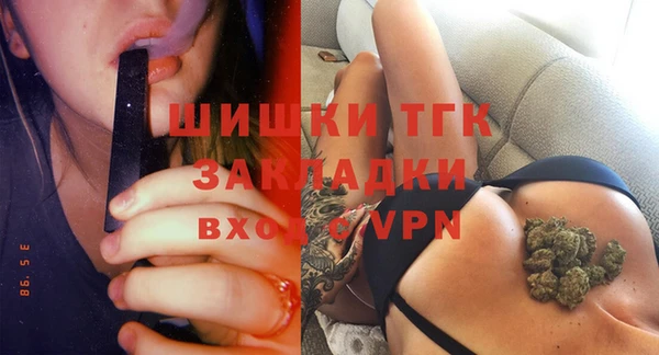 шишки Белокуриха