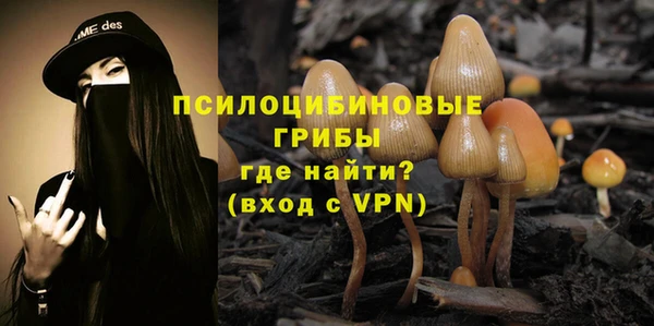 молекула духа Беломорск