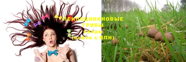 шишки Белокуриха